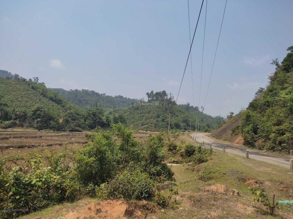 Bán 1ha đất rẫy mặt tiền đường TL676B Măng Đen, Kon Plong, Kon Tum giá 1,6tỷ Bán 1ha đất rẫy mặt tiền đường TL676B Măng Đen, Kon Plong, Kon Tum giá 1,6tỷ