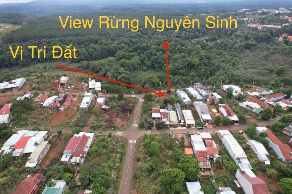 Bán Lô Đất Cặp Đường Phan Bội Châu - View Rừng Nguyên Sinh - Săn Mây Bán Lô Đất Cặp Đường Phan Bội Châu - View Rừng Nguyên Sinh - Săn Mây