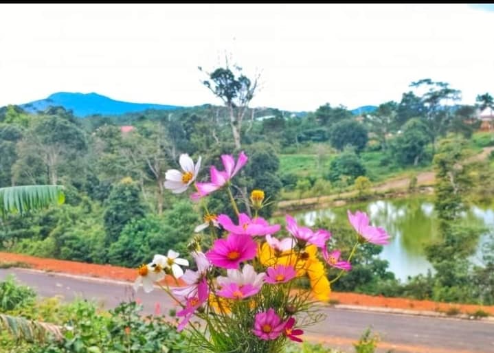 LÔ ĐẤT RẺ NHẤT Ở TẠI TT MĂNG 